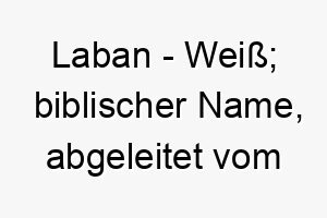 laban weiss biblischer name abgeleitet vom hebraeischen 21831