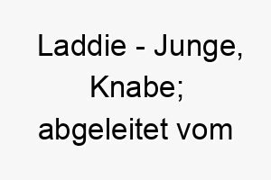 laddie junge knabe abgeleitet vom schottischen 22274