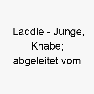 laddie junge knabe abgeleitet vom schottischen 22274