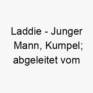 laddie junger mann kumpel abgeleitet vom englischen 21756