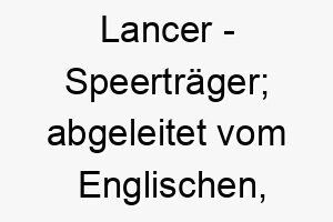 lancer speertraeger abgeleitet vom englischen passend fuer einen aktiven energischen hund 21743