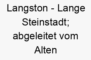 langston lange steinstadt abgeleitet vom alten englisch 21775