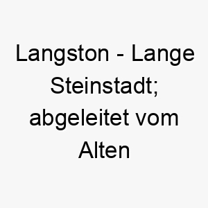 langston lange steinstadt abgeleitet vom alten englisch 21775