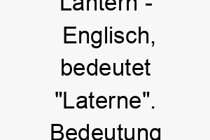 lantern englisch bedeutet laterne bedeutung als hundename fuer einen leuchtenden lebensfreudigen hund 16126