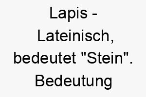 lapis lateinisch bedeutet stein bedeutung als hundename fuer einen starken robusten hund 16019