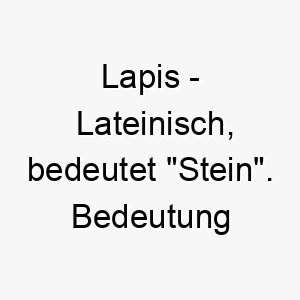 lapis lateinisch bedeutet stein bedeutung als hundename fuer einen starken robusten hund 16019