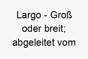 largo gross oder breit abgeleitet vom italienischen 21787