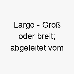 largo gross oder breit abgeleitet vom italienischen 21787