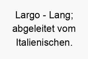 largo lang abgeleitet vom italienischen 22284