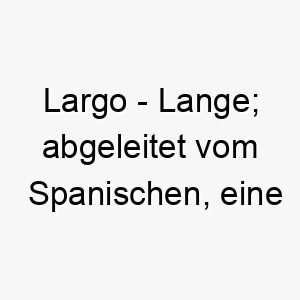 largo lange abgeleitet vom spanischen eine gute wahl fuer einen grossen hund 21742