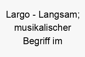 largo langsam musikalischer begriff im italienischen 21757