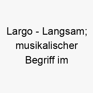 largo langsam musikalischer begriff im italienischen 21757