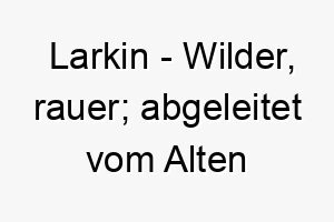 larkin wilder rauer abgeleitet vom alten irischen 2 22058