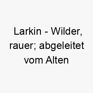 larkin wilder rauer abgeleitet vom alten irischen 2 22058