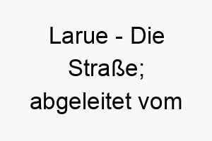 larue die strasse abgeleitet vom franzoesischen 22070