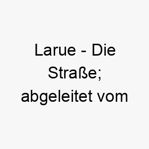 larue die strasse abgeleitet vom franzoesischen 22070