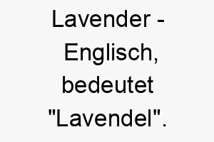 lavender englisch bedeutet lavendel bedeutung als hundename fuer einen sanften entspannenden hund 16020