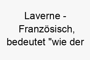 laverne franzoesisch bedeutet wie der fruehling bedeutung als hundename fuer einen jungen lebhaften hund 16012