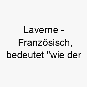 laverne franzoesisch bedeutet wie der fruehling bedeutung als hundename fuer einen jungen lebhaften hund 16012