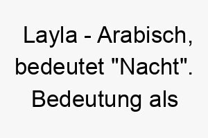 layla arabisch bedeutet nacht bedeutung als hundename fuer einen hund mit dunklem fell oder einem ruhigen nachdenklichen charakter 16002