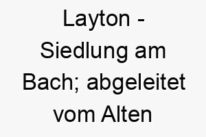 layton siedlung am bach abgeleitet vom alten englischen 22110