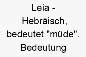 leia hebraeisch bedeutet muede bedeutung als hundename fuer einen ruhigen entspannten hund 16007