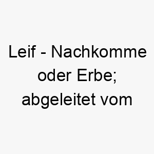 leif nachkomme oder erbe abgeleitet vom altnordischen 22044