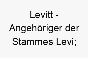 levitt angehoeriger der stammes levi abgeleitet vom hebraeischen 22285