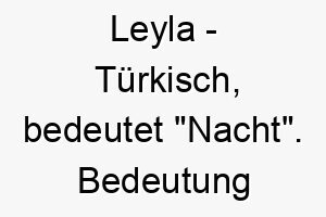 leyla tuerkisch bedeutet nacht bedeutung als hundename fuer einen hund mit einem dunklen fell oder ruhigem wesen 16031