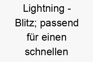 lightning blitz passend fuer einen schnellen oder energetischen hund 21769