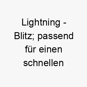 lightning blitz passend fuer einen schnellen oder energetischen hund 21769