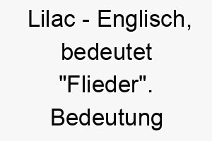 lilac englisch bedeutet flieder bedeutung als hundename fuer einen hund mit einem hellen farbenfrohen fell 16015