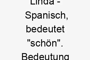 linda spanisch bedeutet schoen bedeutung als hundename fuer einen besonders schoenen hund 16016