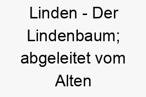 linden der lindenbaum abgeleitet vom alten englischen 21771