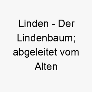 linden der lindenbaum abgeleitet vom alten englischen 21771