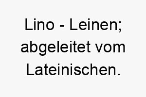 lino leinen abgeleitet vom lateinischen 21815