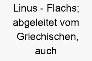 linus flachs abgeleitet vom griechischen auch bekannt durch die comicfigur linus aus den peanuts 21737