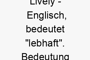 lively englisch bedeutet lebhaft bedeutung als hundename fuer einen energischen aktiven hund 16033