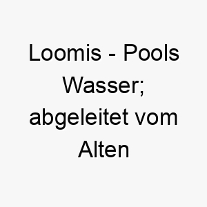 loomis pools wasser abgeleitet vom alten englischen 21780