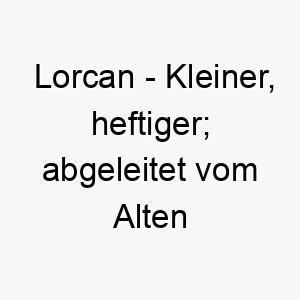 lorcan kleiner heftiger abgeleitet vom alten irischen 21789