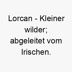 lorcan kleiner wilder abgeleitet vom irischen 22095