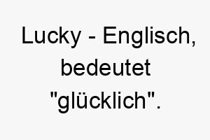 lucky englisch bedeutet gluecklich bedeutung als hundename fuer einen gluecklichen optimistischen hund 16021