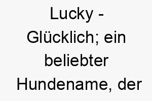 lucky gluecklich ein beliebter hundename der glueck und zufriedenheit symbolisiert 21731