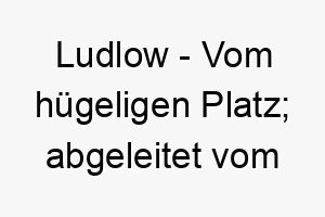 ludlow vom huegeligen platz abgeleitet vom alten englischen 22292