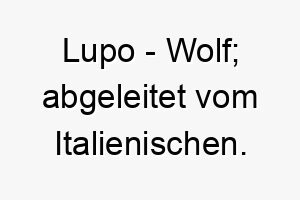 lupo wolf abgeleitet vom italienischen 21739