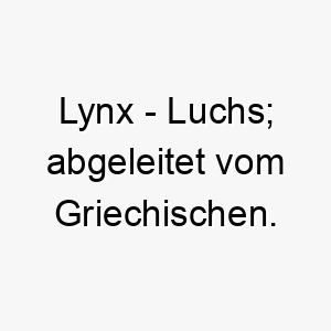 lynx luchs abgeleitet vom griechischen 22293