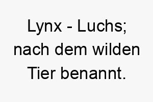 lynx luchs nach dem wilden tier benannt 2 22056