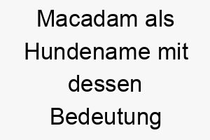 macadam als hundename mit dessen bedeutung 16747