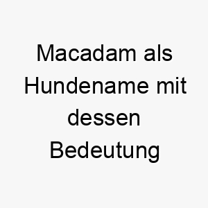 macadam als hundename mit dessen bedeutung 16747