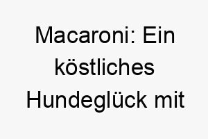 macaroni ein koestliches hundeglueck mit lockigem charme 22815